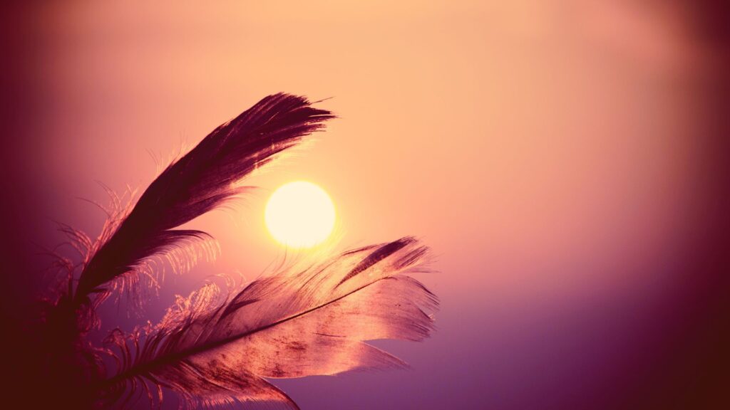 What Is Shamanic Healing — and Why Is It Calling So Many Right Now?